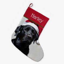 Santa Black Labrador