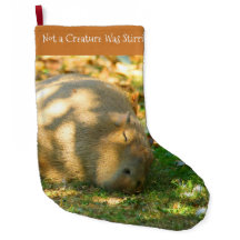 Sueños de capibara en el sol de verano