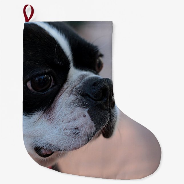 Calcetín Navideño Grande Terrier de Boston (Anverso)