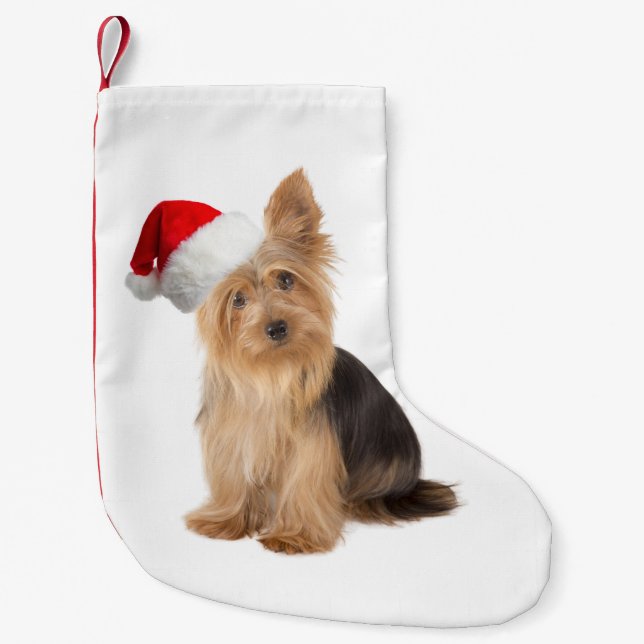 Calcetín Navideño Pequeño Almacenamiento del navidad de Santa Yorkie (Anverso)