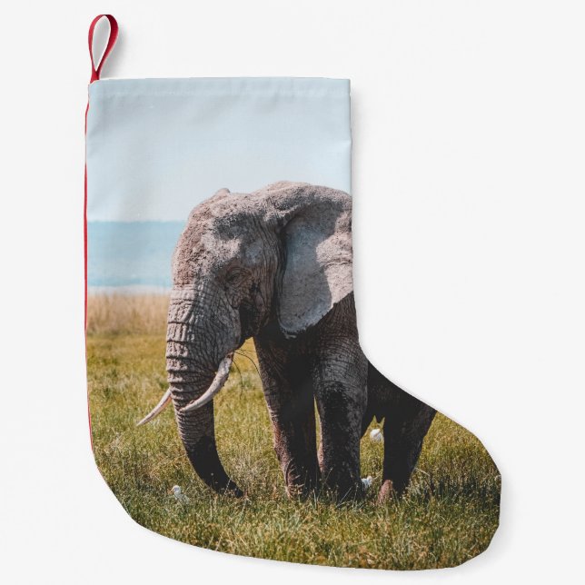 CALCETÍN NAVIDEÑO PEQUEÑO AMABLE ELEFANTE (Anverso)