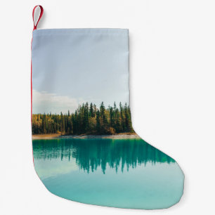 CALCETÍN NAVIDEÑO PEQUEÑO ÁRBOLES VERDES JUNTO AL CUERPO DEL AGUA DURANTE EL