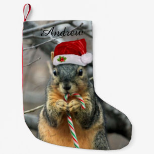 Calcetín Navideño Pequeño Ardilla del navidad