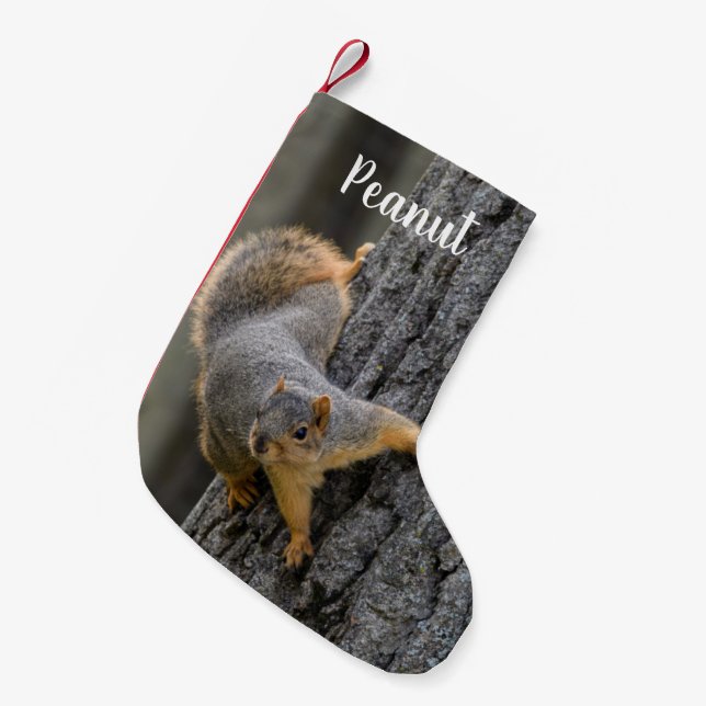 Calcetín Navideño Pequeño ardilla Fox personalizada en un árbol (Frente (Colgado))