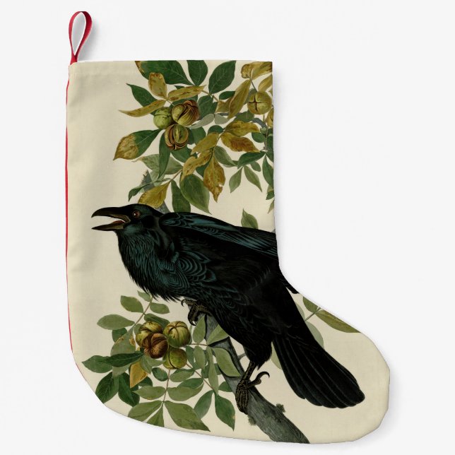 Calcetín Navideño Pequeño Arte clásico Audubon Raven (Anverso)