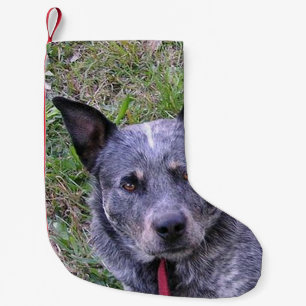 Calcetín Navideño Pequeño Australian_cattle_dog blue.png
