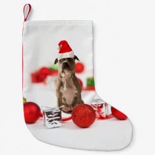 Calcetín Navideño Pequeño Bulldog con caja de regalo y adornos navideños