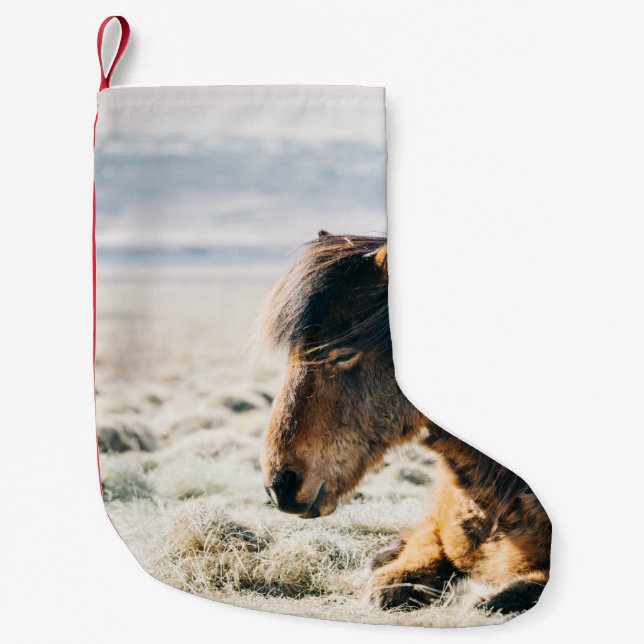 CALCETÍN NAVIDEÑO PEQUEÑO CABALLO MARRÓN SITUADO EN GRASS CERCA DE LA PLAYA (Anverso)