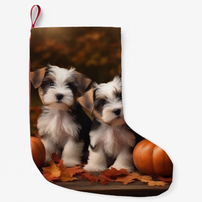 Calcetín Navideño Pequeño Calabaza deslumbrante Otoño más Terrier (Anverso)