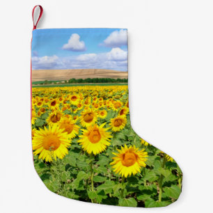 Calcetín Navideño Pequeño Campo de girasol