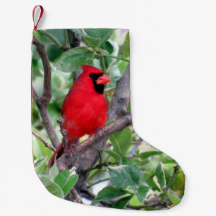 Calcetín Navideño Pequeño Cardenal en un árbol de limón - Navidades descansa