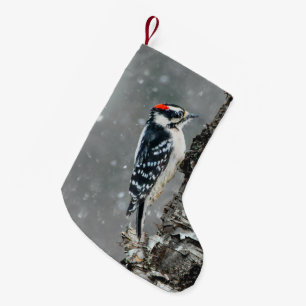 Calcetín Navideño Pequeño Carpintero lechoso en nieve - Fotografía original
