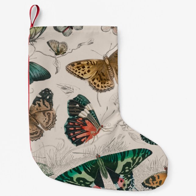 Calcetín Navideño Pequeño Colección de mariposa Mariposas antiguas (Anverso)