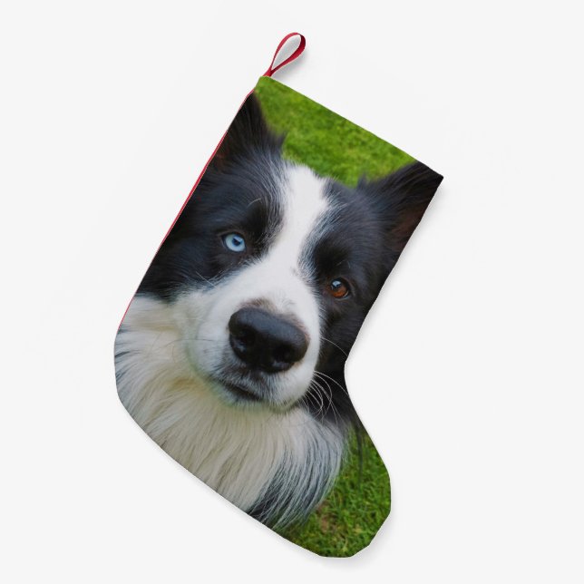 Calcetín Navideño Pequeño Collie de borde Navidades pequeños levantándose (Frente (Colgado))