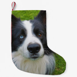 Calcetín Navideño Pequeño Collie de borde Navidades pequeños levantándose