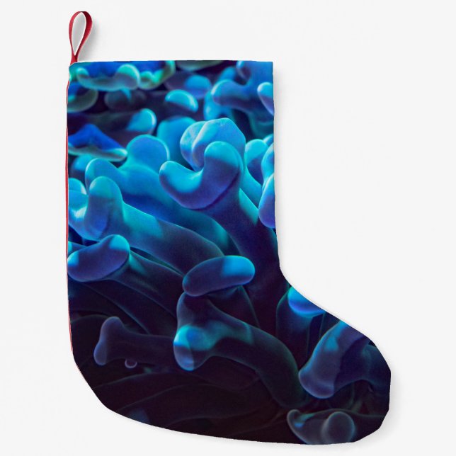 Calcetín Navideño Pequeño Coral azul (Anverso)