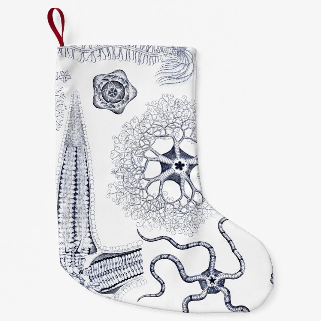 Calcetín Navideño Pequeño Criaturas extrañas del mar de la vida marina/de la (Anverso)