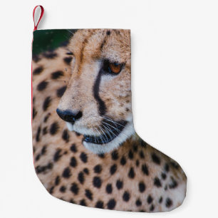CALCETÍN NAVIDEÑO PEQUEÑO CURIOSO CHEETAH