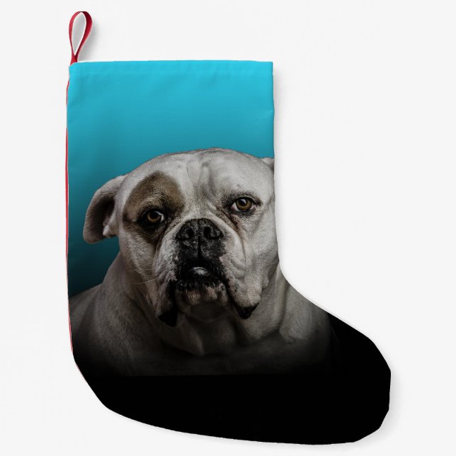 Calcetín Navideño Pequeño Cute Boxer Dog con fondo de degradado negro azul (Anverso)