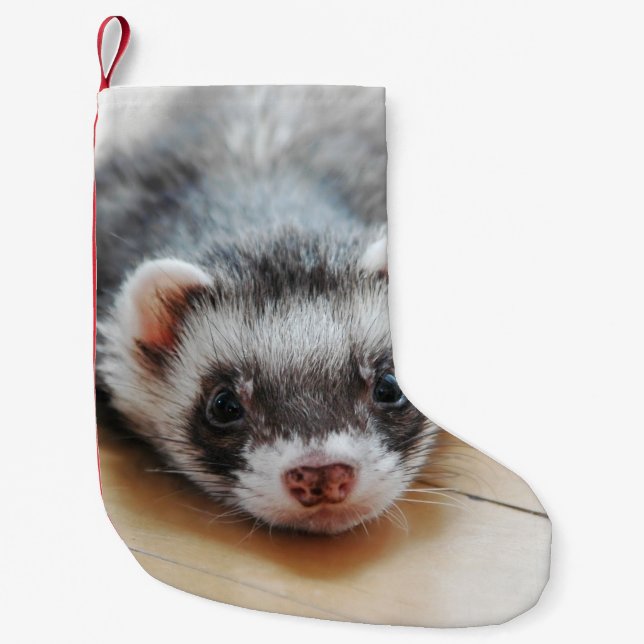 Calcetín Navideño Pequeño Cute Sable Ferret (Anverso)