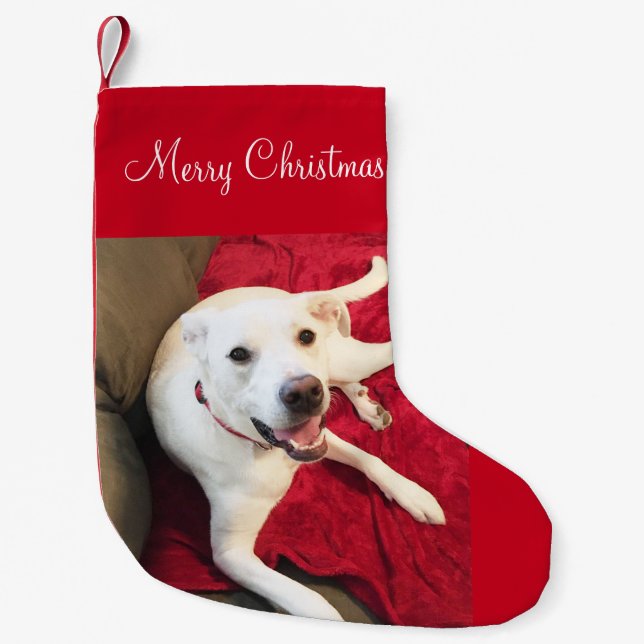 Calcetín Navideño Pequeño Cute sonriente White Lab Mix Dog Navidades (Anverso)