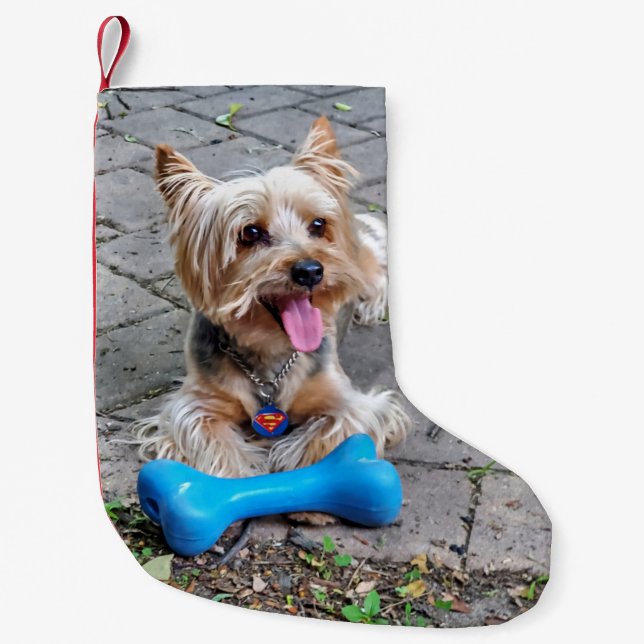 Calcetín Navideño Pequeño Cute Terrier (Anverso)