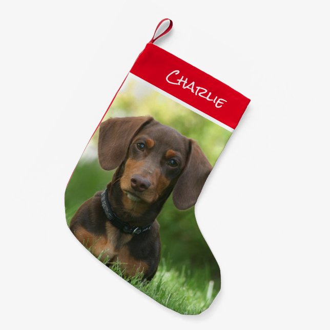 Calcetín Navideño Pequeño Dachshund sentada en la hierba (Frente (Colgado))