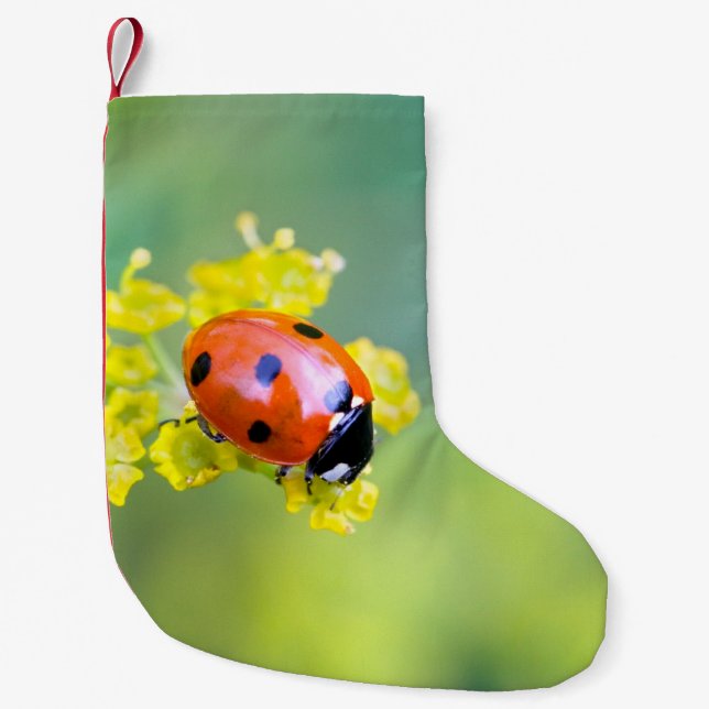 Calcetín Navideño Pequeño dama encima (Anverso)