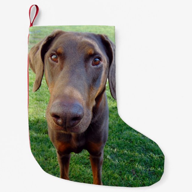 Calcetín Navideño Pequeño Doberman rojo (Anverso)