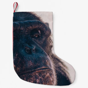 CALCETÍN NAVIDEÑO PEQUEÑO EL CHIMPANZO MÁS ANTIGUO