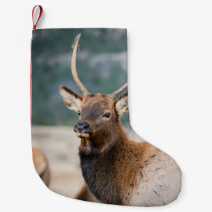 CALCETÍN NAVIDEÑO PEQUEÑO ELK EN EL PARQUE NACIONAL DE LA MONTAÑA ROCKY - E