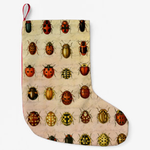 Calcetín Navideño Pequeño Espécimen Patrón de Mariquita Vintage Insecto Anti
