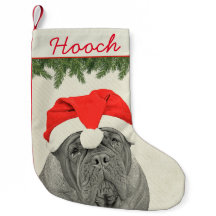 Estilo de Dogue de Bordeaux Vintage