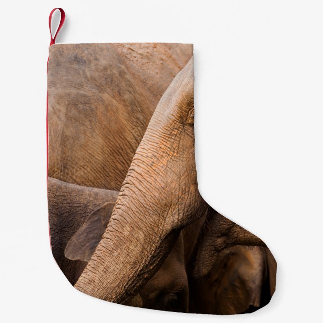 Calcetín Navideño Pequeño Familia Elefante: Vida silvestre majestuosa (Anverso)