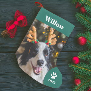 Calcetín Navideño Pequeño Feriado fotográfico Mascota personalizado
