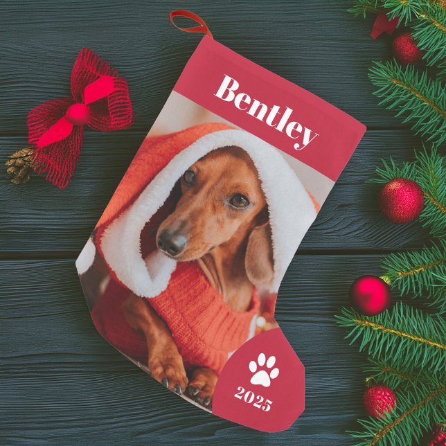 Calcetín Navideño Pequeño Feriado fotográfico Mascota personalizado (Subido por el creador)