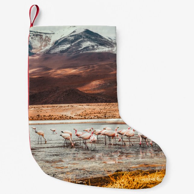 CALCETÍN NAVIDEÑO PEQUEÑO FLAMINGOS EN EL CUERPO DEL AGUA (Anverso)