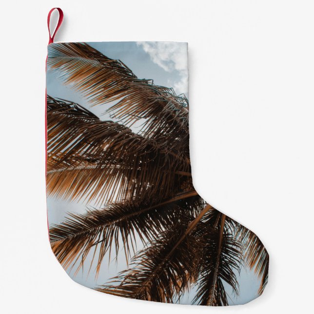 Calcetín Navideño Pequeño Foto de ángulo bajo del árbol de coco (Anverso)