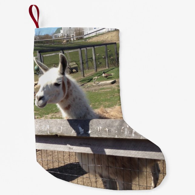 Calcetín Navideño Pequeño Foto de imagen personalizado de llama alpaca (Anverso)