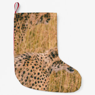 CALCETÍN NAVIDEÑO PEQUEÑO FOTO DE LOS ANIMALES OBJETIVO - LEOPARD