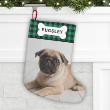 Foto de monograma óseo de perro Mascota de búfalo 