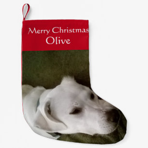 Calcetín Navideño Pequeño Foto de Perro Adorable Pequeño de Cachorro Blanco