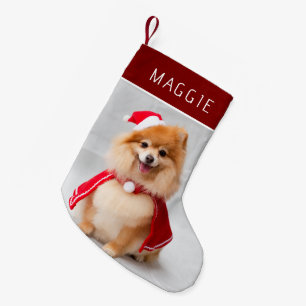 Calcetín Navideño Pequeño Foto de perro rojo elegante con nombre personaliza