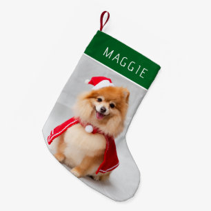 Calcetín Navideño Pequeño Foto de perro verde elegante con nombre personaliz