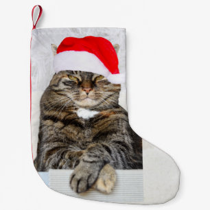 Calcetín Navideño Pequeño Foto Humbug del gato de navidades
