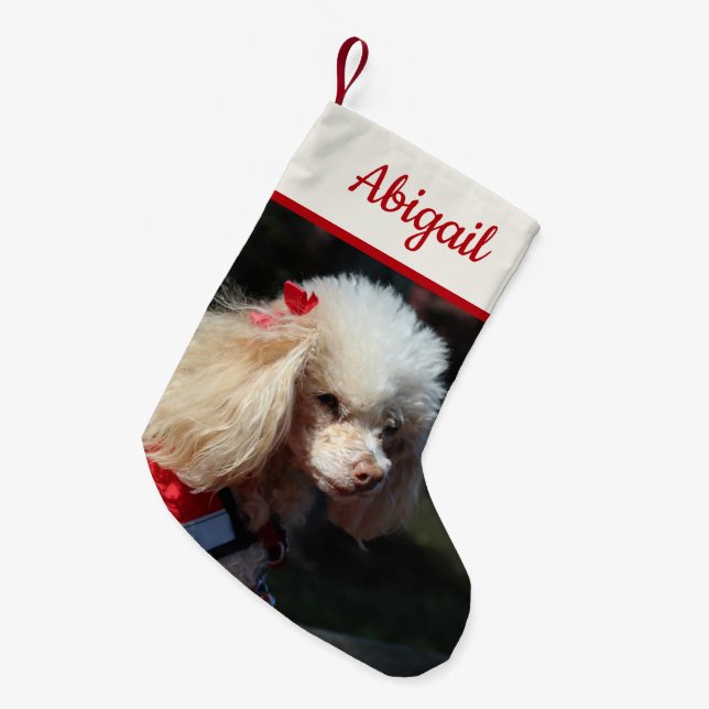Calcetín Navideño Pequeño Foto mascota reversible personalizada (Frente (Colgado))
