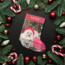 Calcetín Navideño Pequeño Foto Minimalista moderna de Mascota de perro lindo