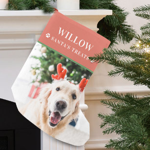 Calcetín Navideño Pequeño Foto moderna de Navidad de perro