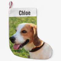 Foto personalizada de perro de Beagle y nombre de 