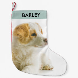 Calcetín Navideño Pequeño Foto personalizada de perro festivo y lindo 
